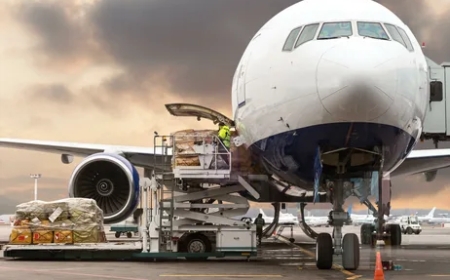 What Are The Critical Details You Need To Know About The Power Of Air Cargo Transportation?