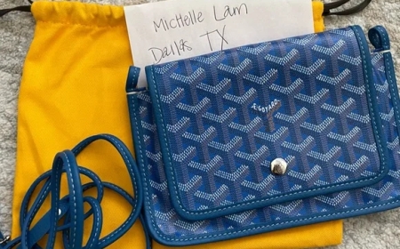 The Timeless Appeal of Goyard: A Deep Dive into Iconic Bags and Wallets
