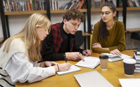 Top 10 Reasons Students Use University Assignment Services