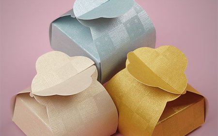 Creative Party Favor Boxes for All Event Themes