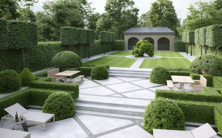 See Your Garden Before It Grows: The Power of 3D Landscape Design
