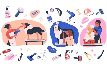 Franchise vs Starting a Business | Mobile Pet Grooming