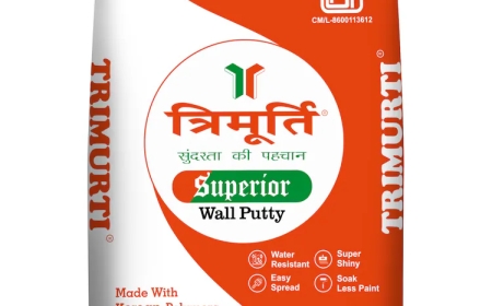 India's Strongest Foundations: The Best Wall Putty Solutions from the Best Construction Material Suppliers