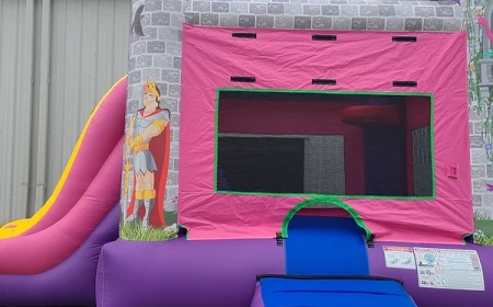 How Wet Combo #2 Princess Palace in Nebraska, Omaha Elevates Outdoor Fun for Every Occasion