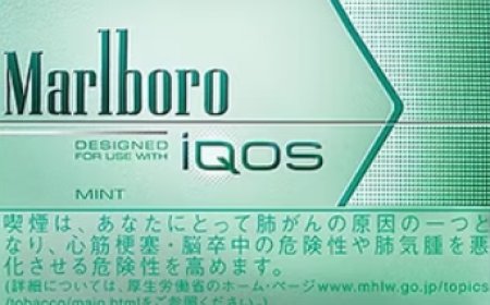 薄荷味電子煙：清新選擇，煥然一新吸煙體驗