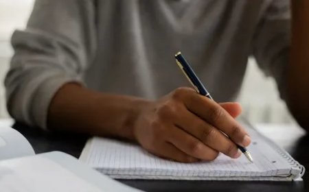 Why You Need Professional Essay Writers for Academic Success