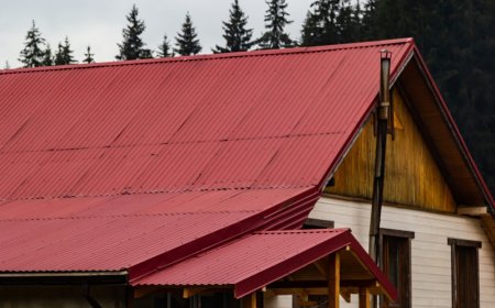 Quick Tips for Enhancing Your Shed with Colorbond Roof Sheets