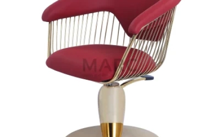 The Throne of Style: Unveiling the True Power of Salon Chairs