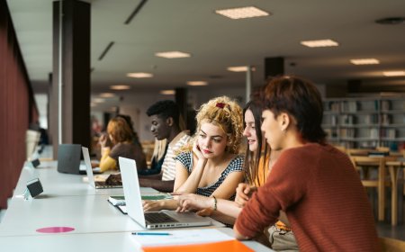 Book Review Writing Service: A Complete Guide to Professional Support