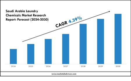 Saudi Arabia Laundry Chemicals Market Share Analysis by Key Companies & Geography