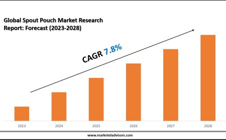 Spout Pouch Market Share Analysis by Key Companies & Geography
