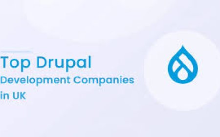 Top Benefits of Partnering with a Drupal Development Agency UK