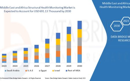 Middle East and Africa Structural Health Monitoring Market Growth: Share, Value, Size, Scope, and Insights