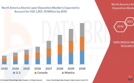 North America Atomic Layer Deposition Market Growth: Share, Value, Size, Scope, and Insights