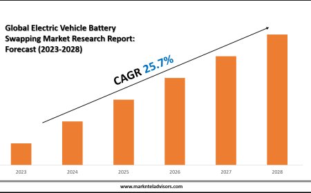 Electric Vehicle Battery Swapping Market Share Analysis by Key Companies & Geography