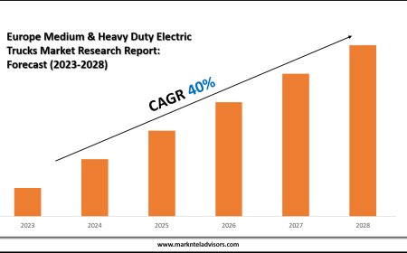 Europe Medium & Heavy Duty Electric Trucks Market Share Analysis by Key Companies & Geography
