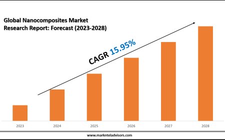 Nanocomposites Market Share Analysis by Key Companies & Geography