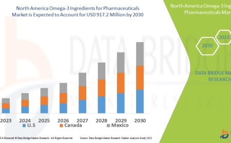 North America Omega-3 Ingredients for Pharmaceuticals Market Outlook: Growth, Share, Value, Size, and Trends