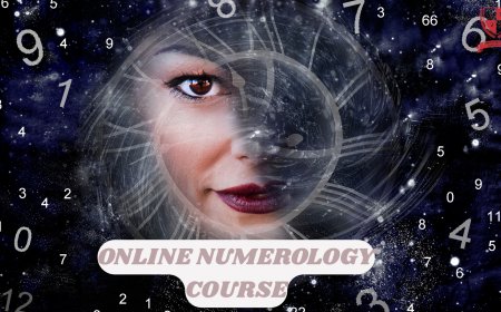 The Power of Numbers: Learn Numerology from Scratch