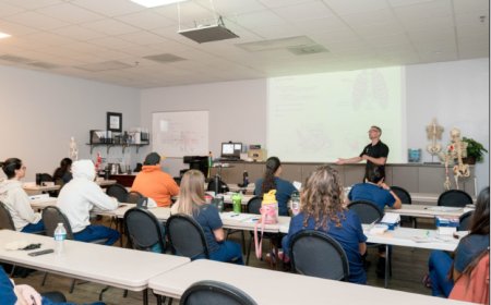 Comparing Online vs In-Person Massage Training Options in San Antonio