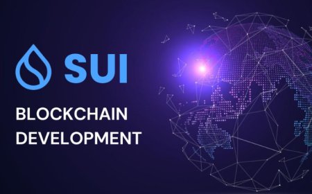 Why Enterprises Are Exploring the Sui Blockchain in 2025