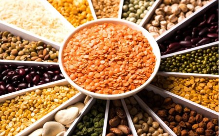 Shop India’s Best Pulses Brands & Suppliers – Valency Agro