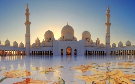 Morning Desert Safari Dubai for All