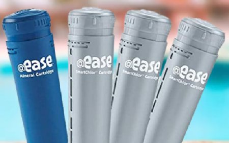 Frog Ease Inline Cartridge for Sale – Clean, Clear Water with Less Hassle!