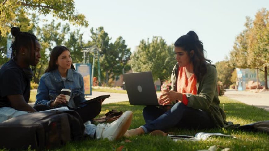 Online CMI Assignment Help: Your Key to Success in Management Studies