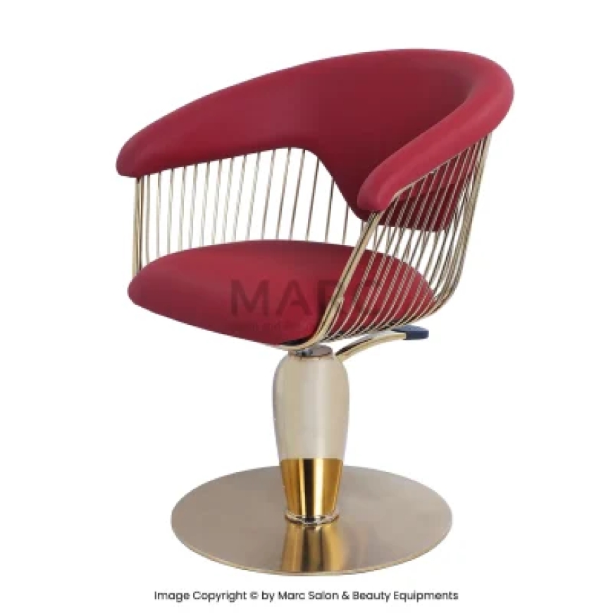 The Throne of Style: Unveiling the True Power of Salon Chairs