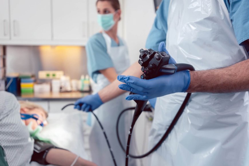 Why Pet Stomach Endoscopy Matters for Your Furry Friend for Looking Inside