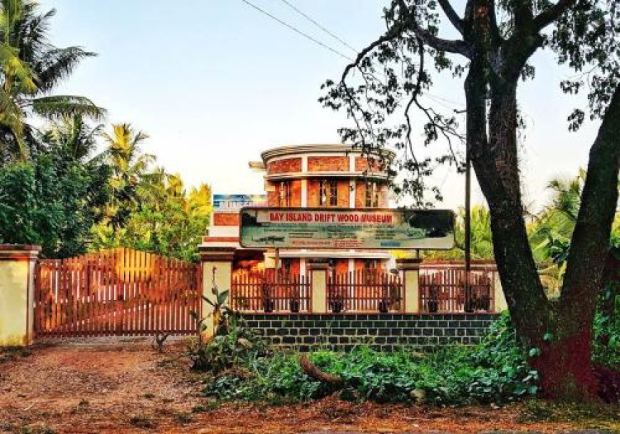 Exploring the Museums in Kottayam: A Journey Through Art, Culture, and Nature