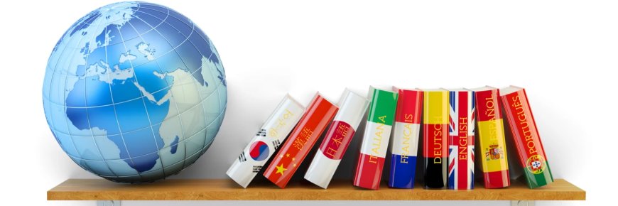 Top 5 Language Learning Software for Beginners and Professionals (2025 Edition)