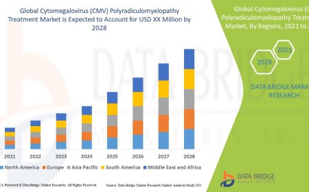 Cytomegalovirus (CMV) Polyradiculomyelopathy Treatment Market: Insights and Competitive Analysis