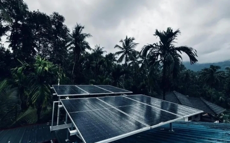 Why Businesses Prefer Local Solar Companies in Calicut for Commercial Installations