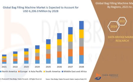 Bag Filling Machine Market Dynamics: Trends and Forecast to 2028