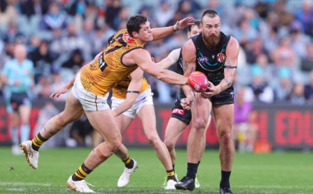 Exploring the Best Aussie Betting Sites: A Guide for Smart Punters