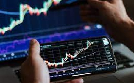 How Local Economic Instability Affects Broker Reliability in Mexico