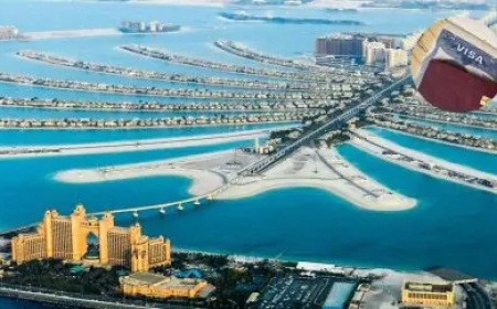 Track Your EduDubai Visa: 5 Easy Steps to Check Status Online