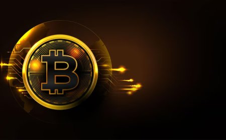 A Complete Guide to Bitcoin Casino Software Development Services