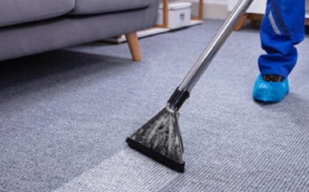 Why Professional Carpet Cleaning Services Are Vital for a Healthy Home