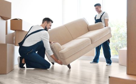 Your Guide to the Best Removal Companies in Brisbane