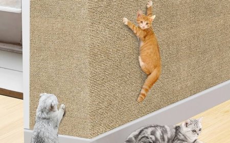 Why Every American Cat Owner Needs a Cat Scratching Mat in Their Home