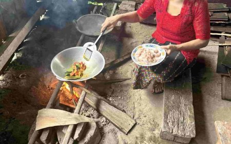 Begin Your Journey with Our Most Loved Tours