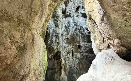 Catering: The Heart of Memorable Gatherings