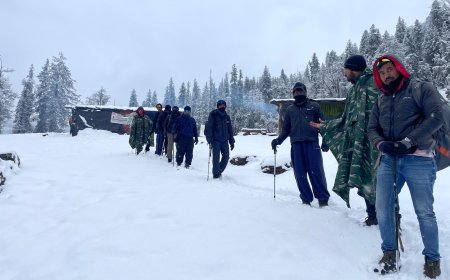 Meet Kedarnath: Your Best Himalayan Getaway With TREKBERRY