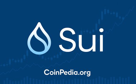 Understanding the SUI Crypto Ecosystem and Future SUI Price Potential