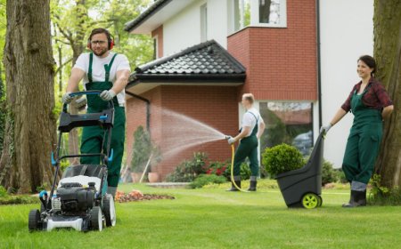 Reliable & Affordable Lawn Mowing Services Near You