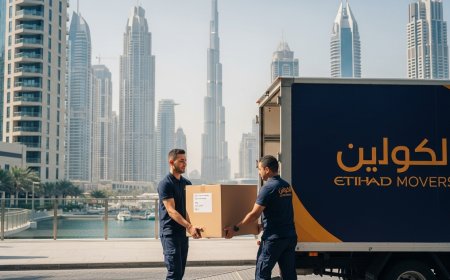 Top Guide to Furniture Movers and Packers in Dubai: How, What, When & Why You Should Hire Them
