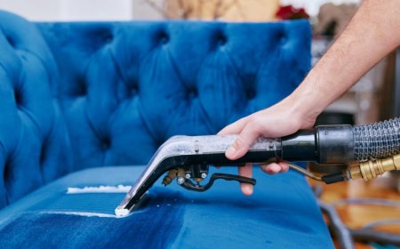 How Often Should You Schedule Sofa Cleaning Brooklyn Experts?